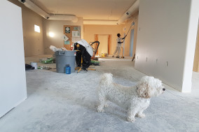 Tenant Move-Out Proceedures